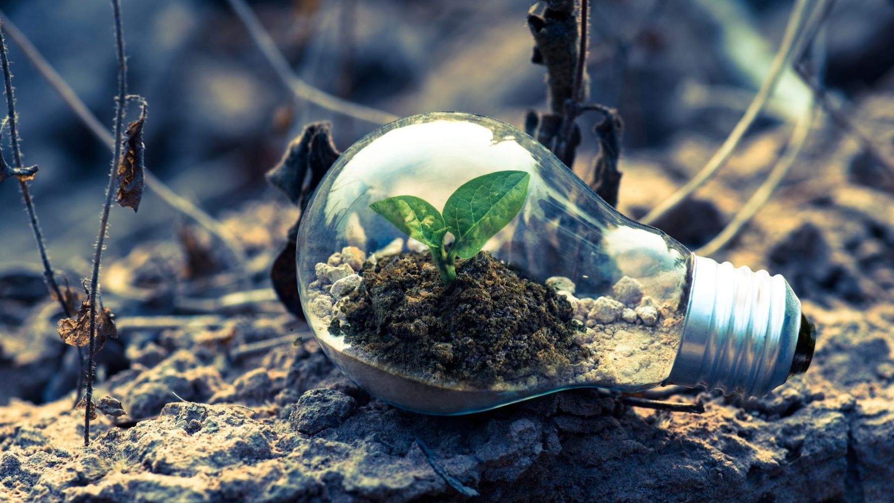 Ensuring Tomorrow's Future Sustainability Today